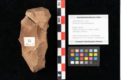Foto (Objekt + Etikett) von Sphaeria duncani Ettingshausen (NHMW-GEO-2024-0188-0035)